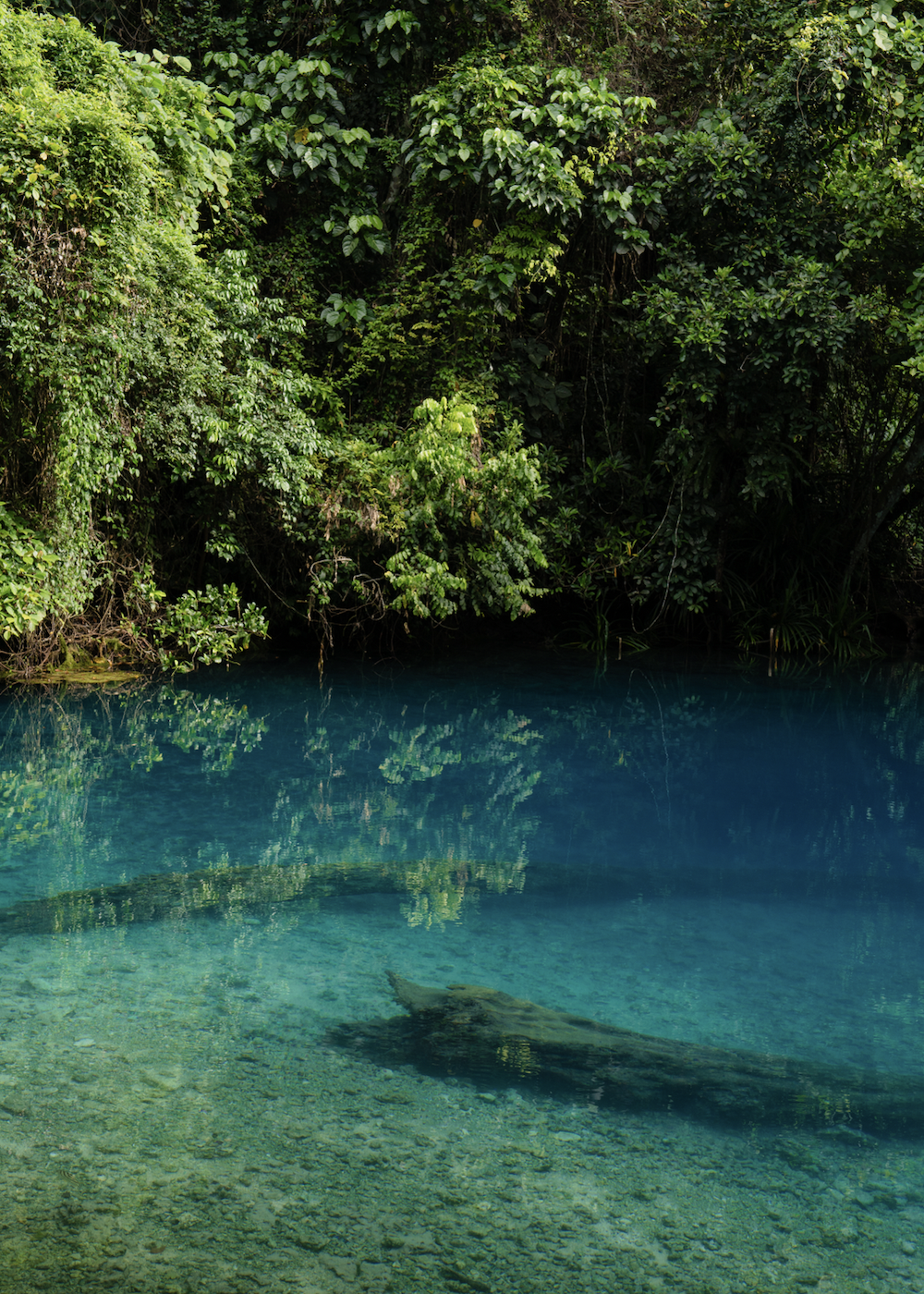 Screen Shot 2026-03-28 at 5.42.01 PM.png