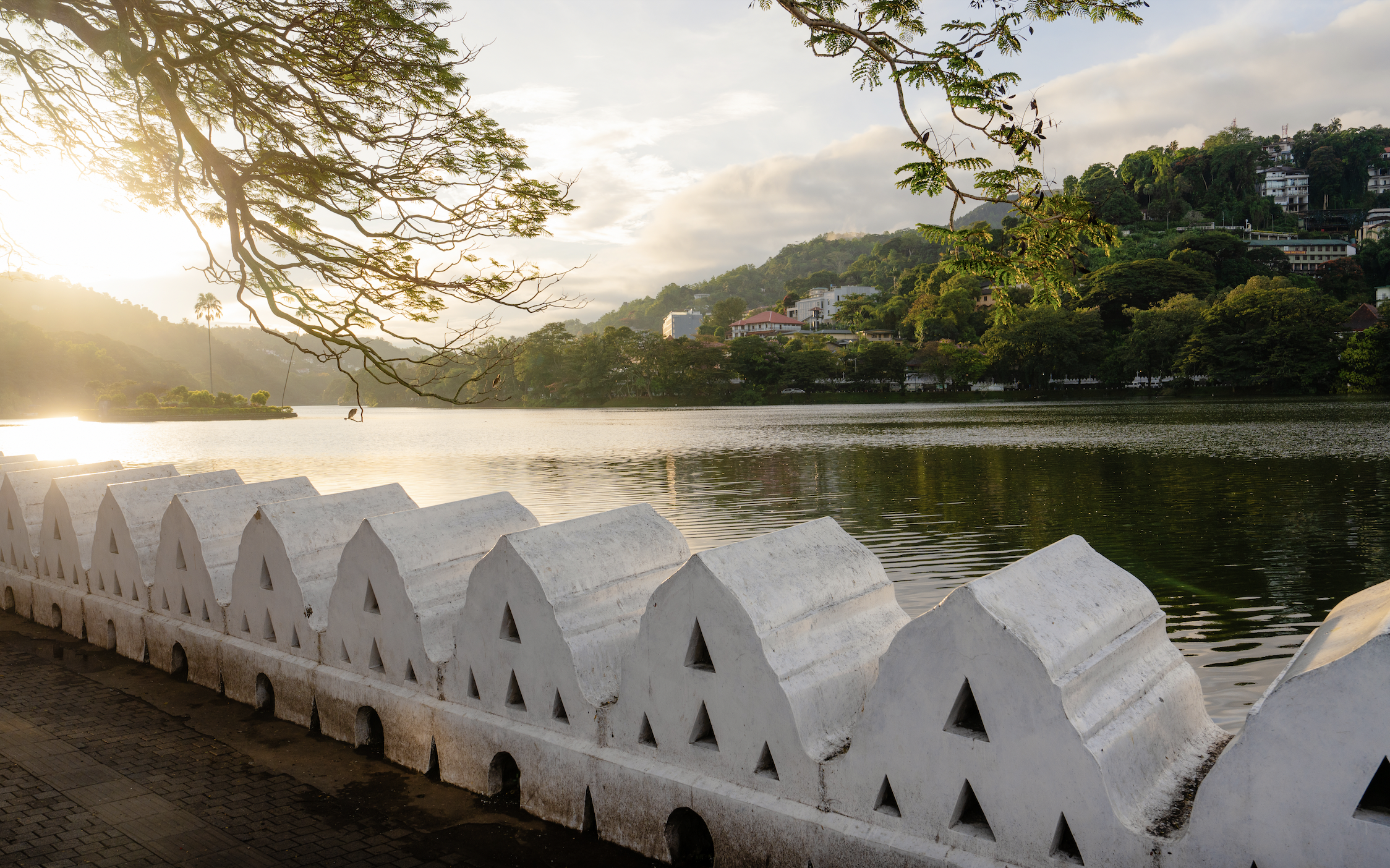 Screen Shot 2025-12-07 at 12.31.38 PM.png