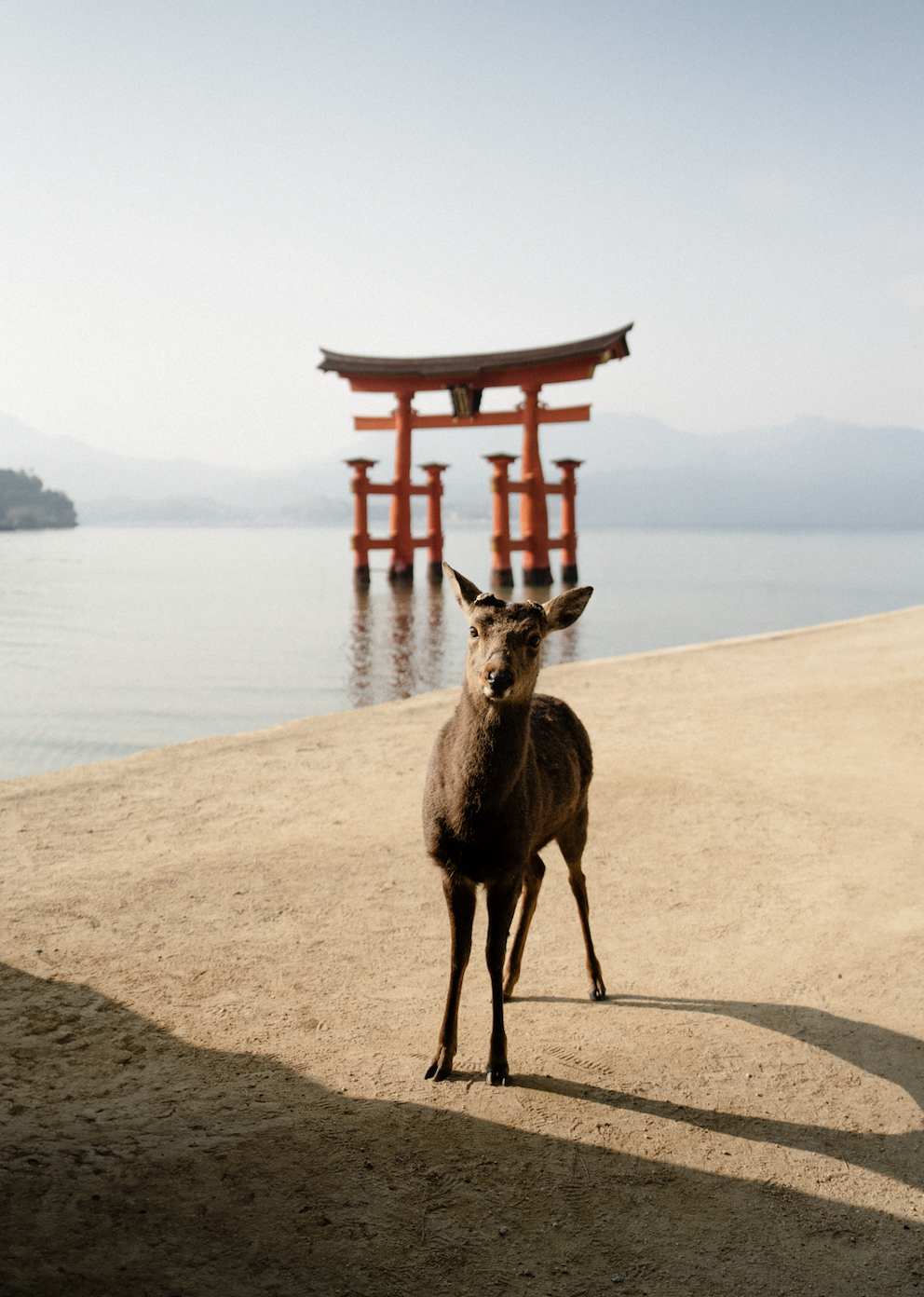 Screen Shot 2026-02-04 at 6.34.56 PM.png