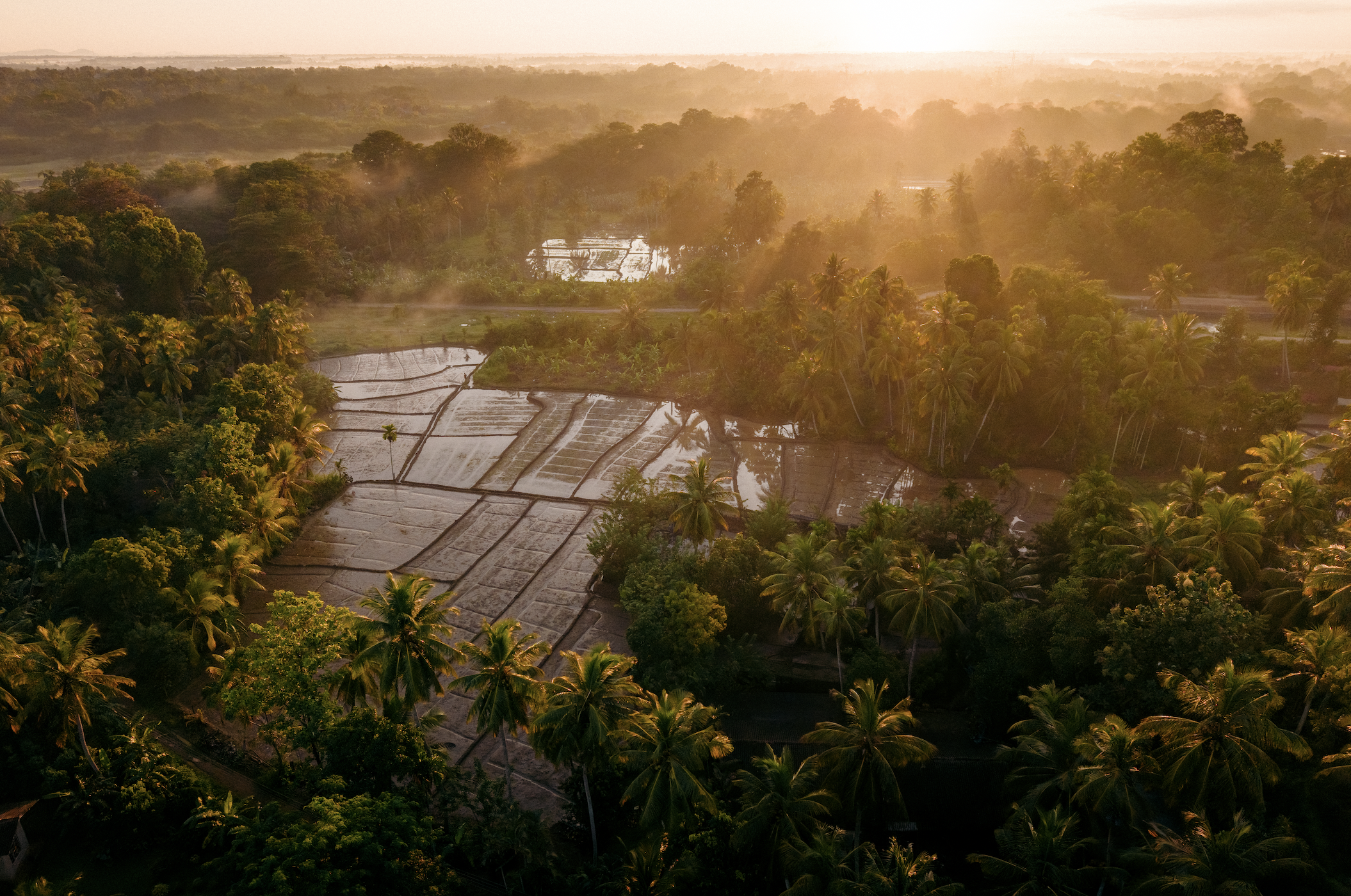 Screen Shot 2025-11-30 at 11.56.19 AM.png