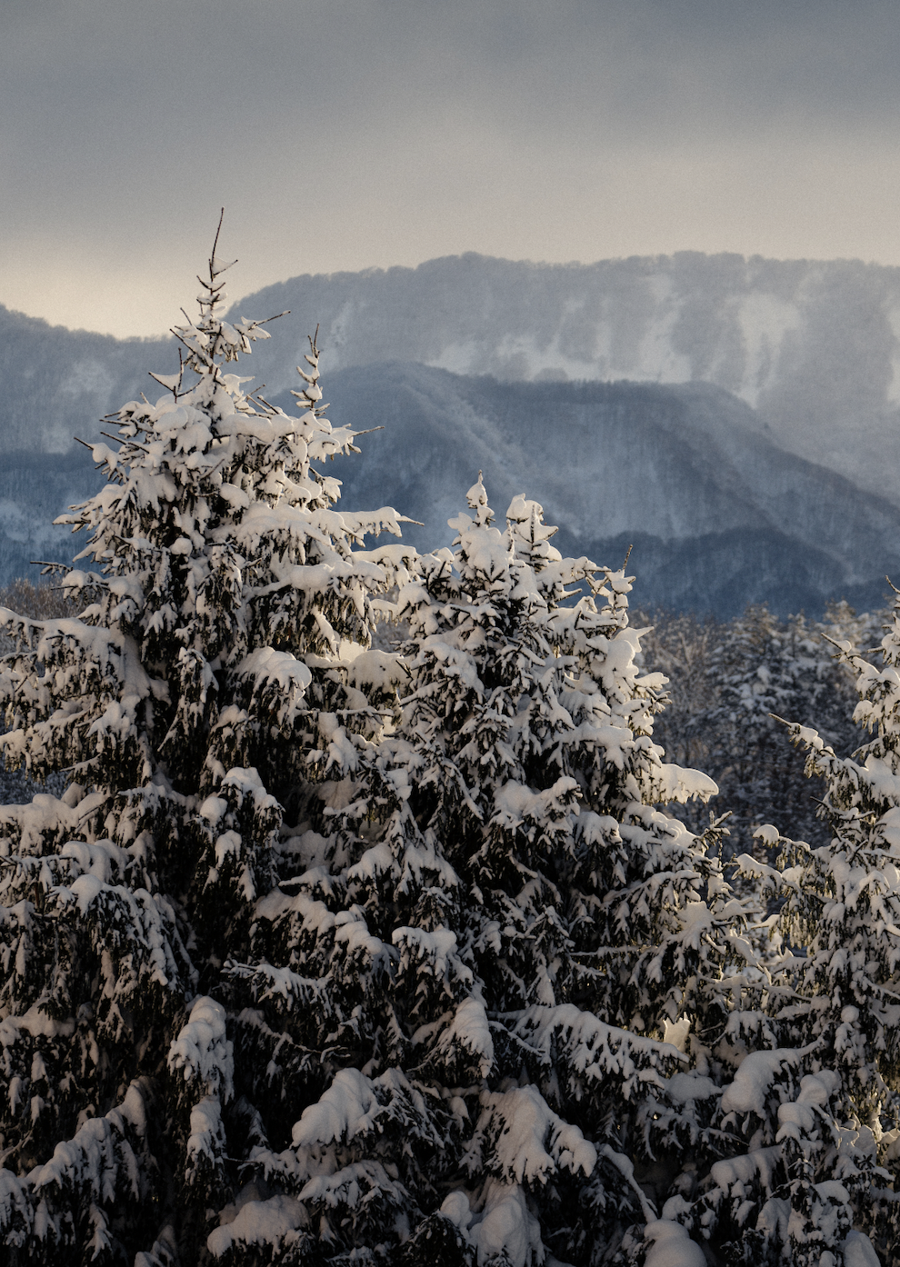 Screen Shot 2026-02-04 at 6.40.50 PM.png