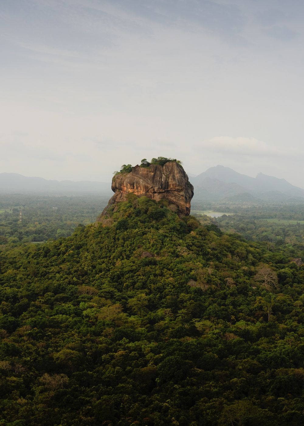 Screen Shot 2025-12-07 at 12.25.44 PM.png