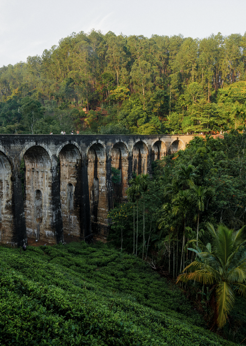 Screen Shot 2025-12-07 at 12.32.45 PM.png