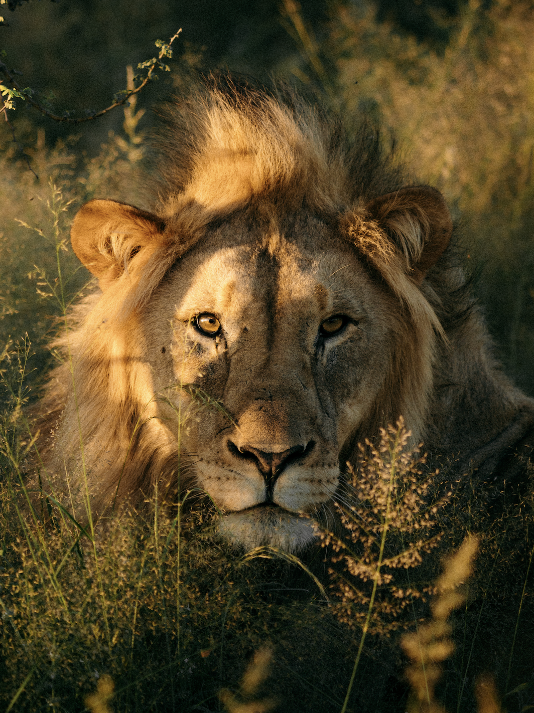  NAMIBIA 