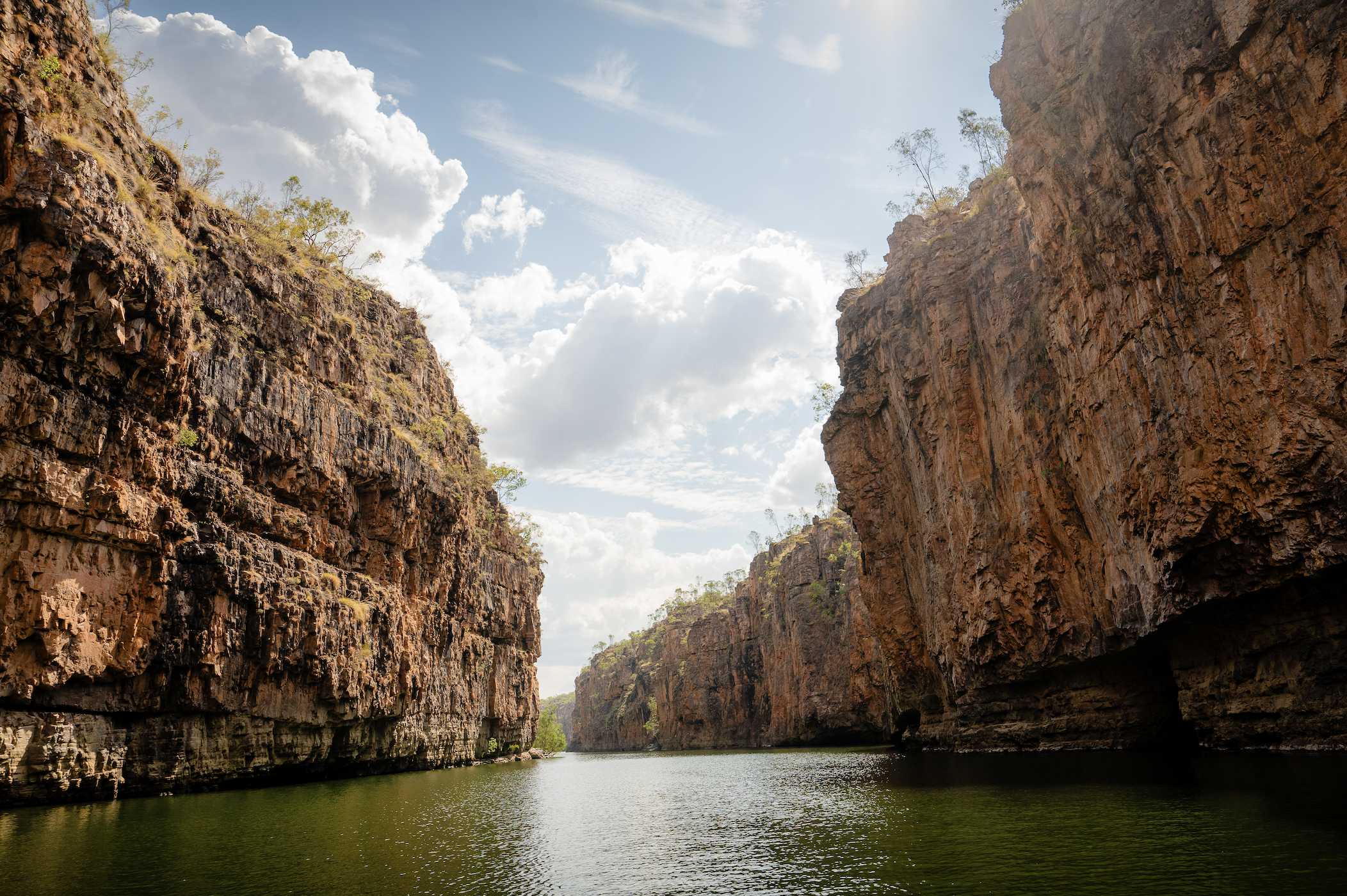 Screen Shot 2025-10-31 at 10.45.12 AM.png