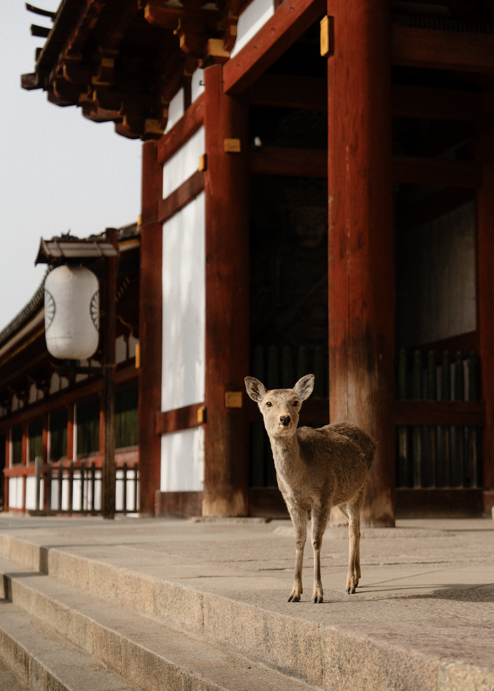 Screen Shot 2026-02-04 at 6.29.05 PM.png