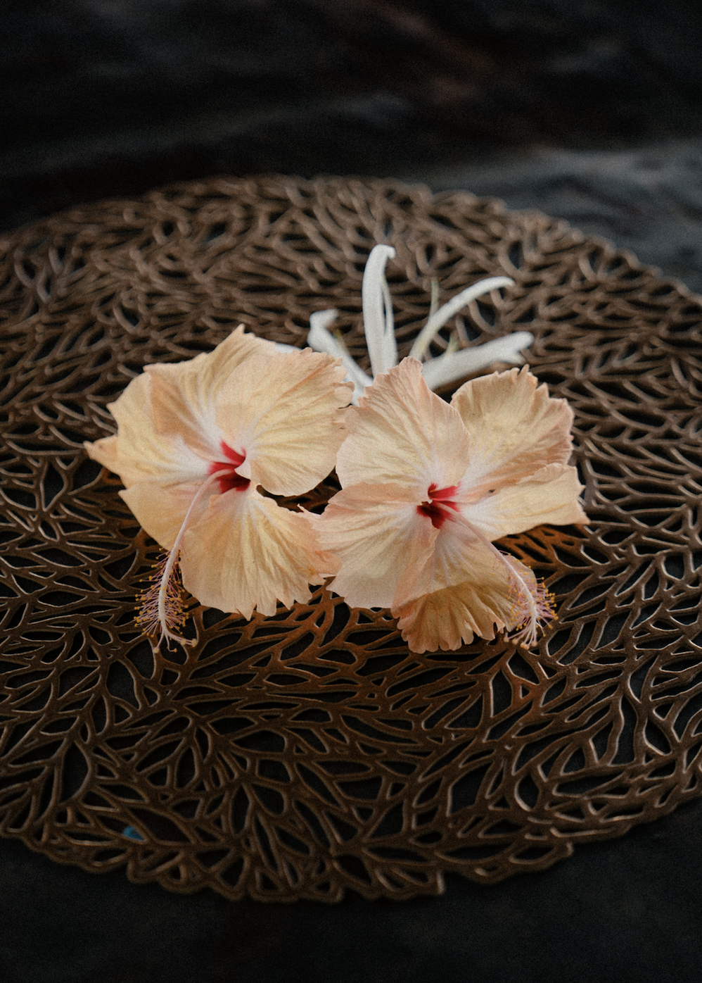 Screen Shot 2026-03-28 at 5.39.42 PM.png