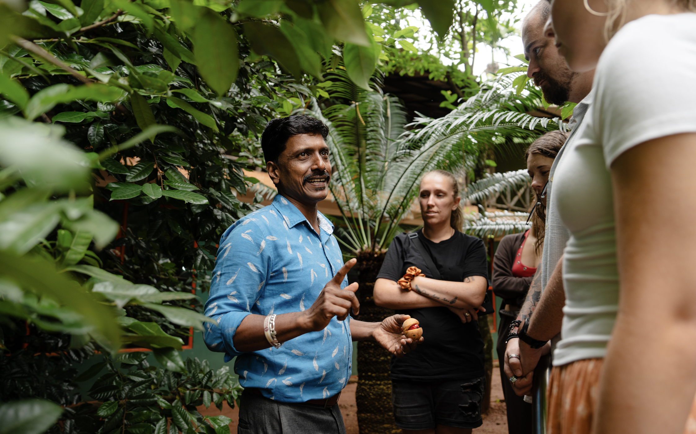 Screen Shot 2025-12-07 at 12.31.05 PM.png