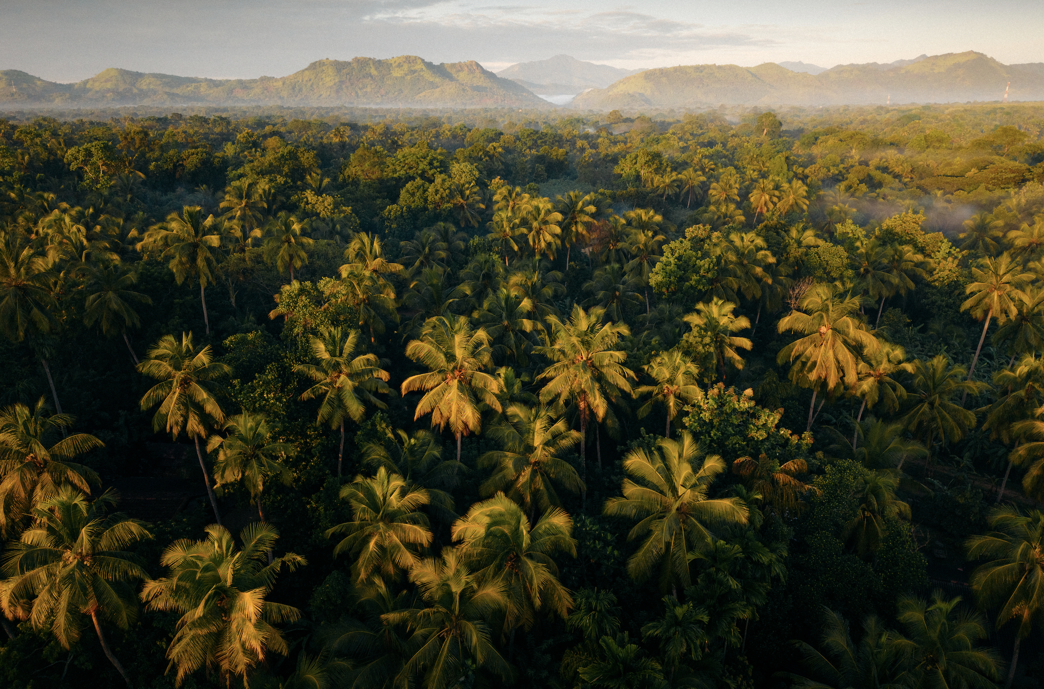 Screen Shot 2025-11-30 at 11.56.35 AM.png