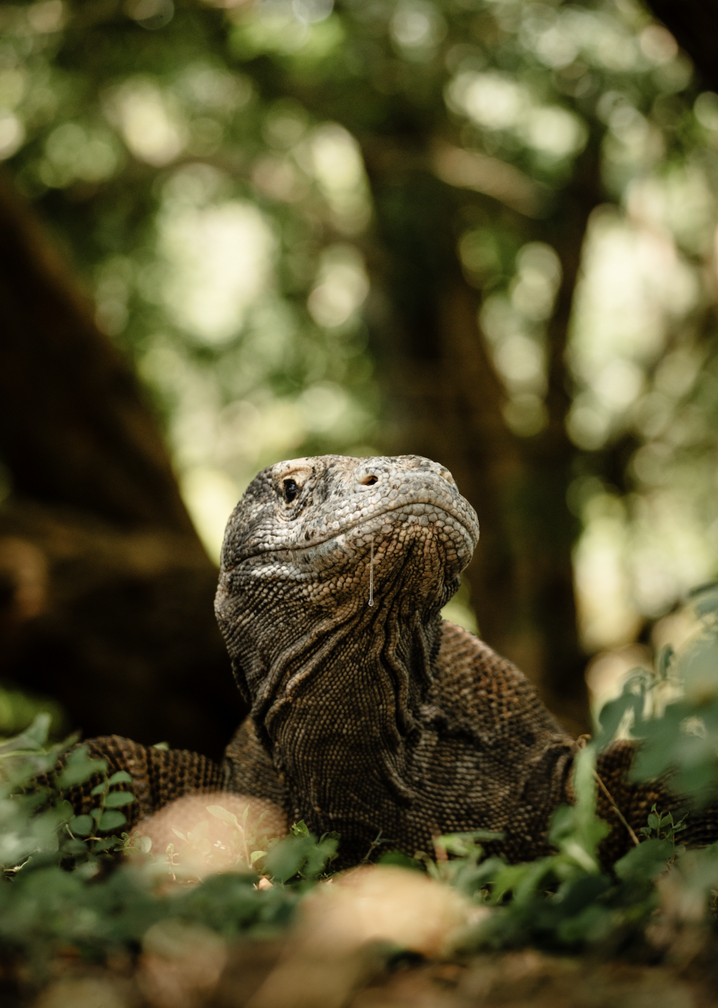 Screen Shot 2026-04-23 at 11.40.18 AM.png