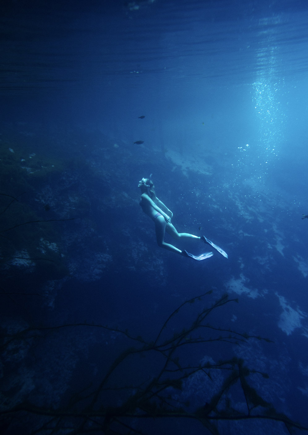 Screen Shot 2026-03-28 at 5.40.17 PM.png