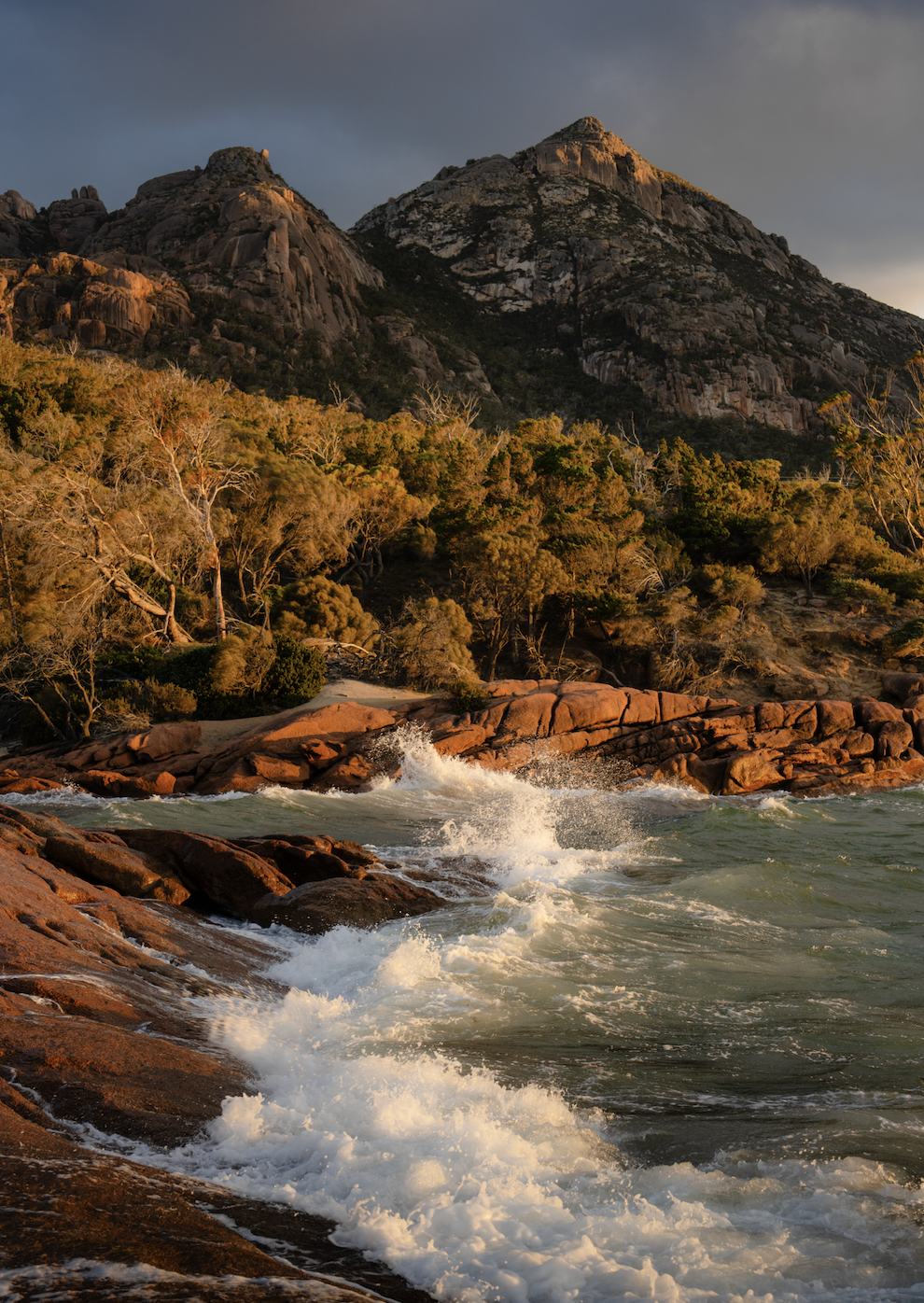 Screen Shot 2026-01-07 at 12.00.14 PM.png