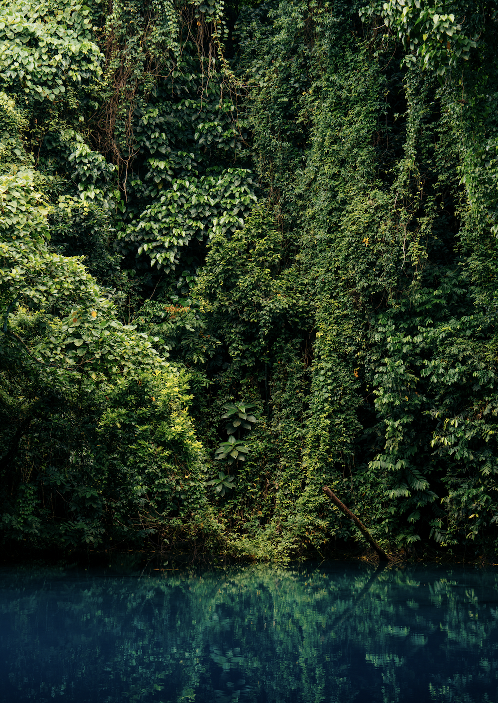 Screen Shot 2026-03-28 at 5.41.42 PM.png