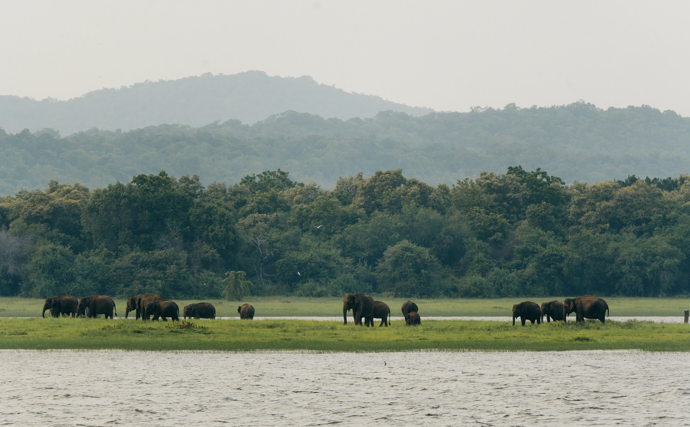 Screen Shot 2025-11-30 at 11.53.19 AM.png