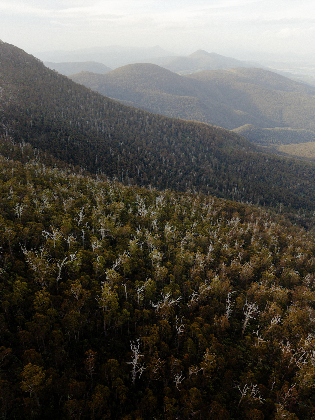 Screen Shot 2026-01-07 at 12.04.42 PM.png