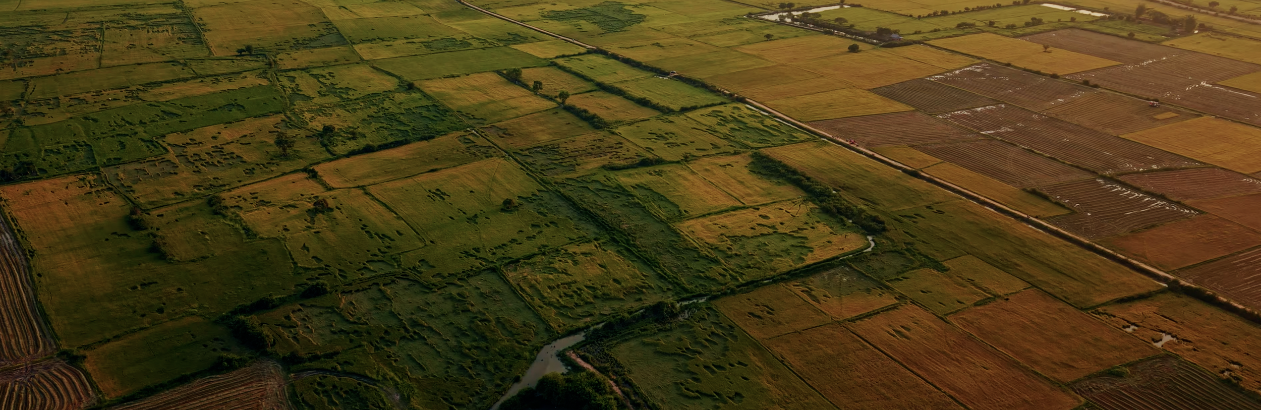 Screen Shot 2026-03-09 at 3.02.53 PM.png