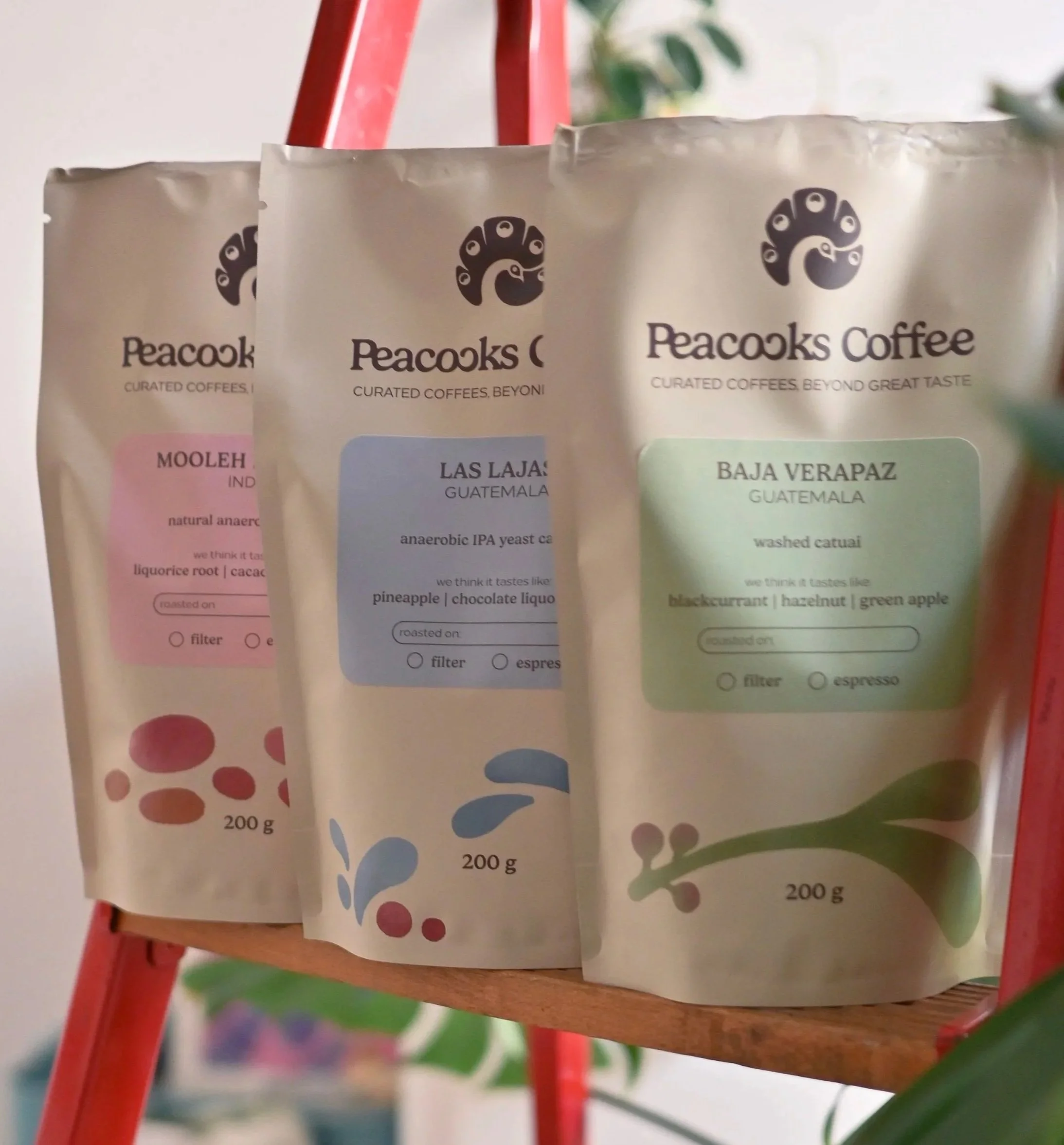 The Fermentation Series Subscription (3x200g)