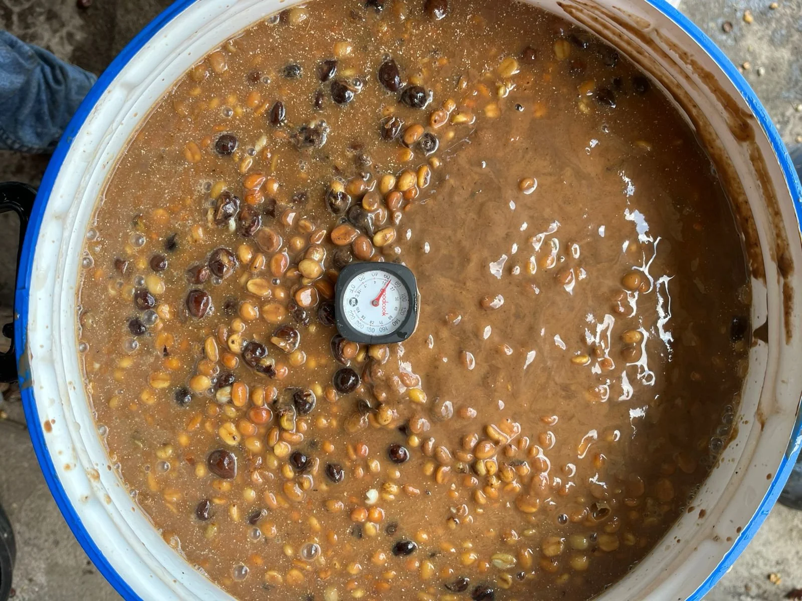 WhatsApp Image 2025-12-16 at 00.53.41.jpeg