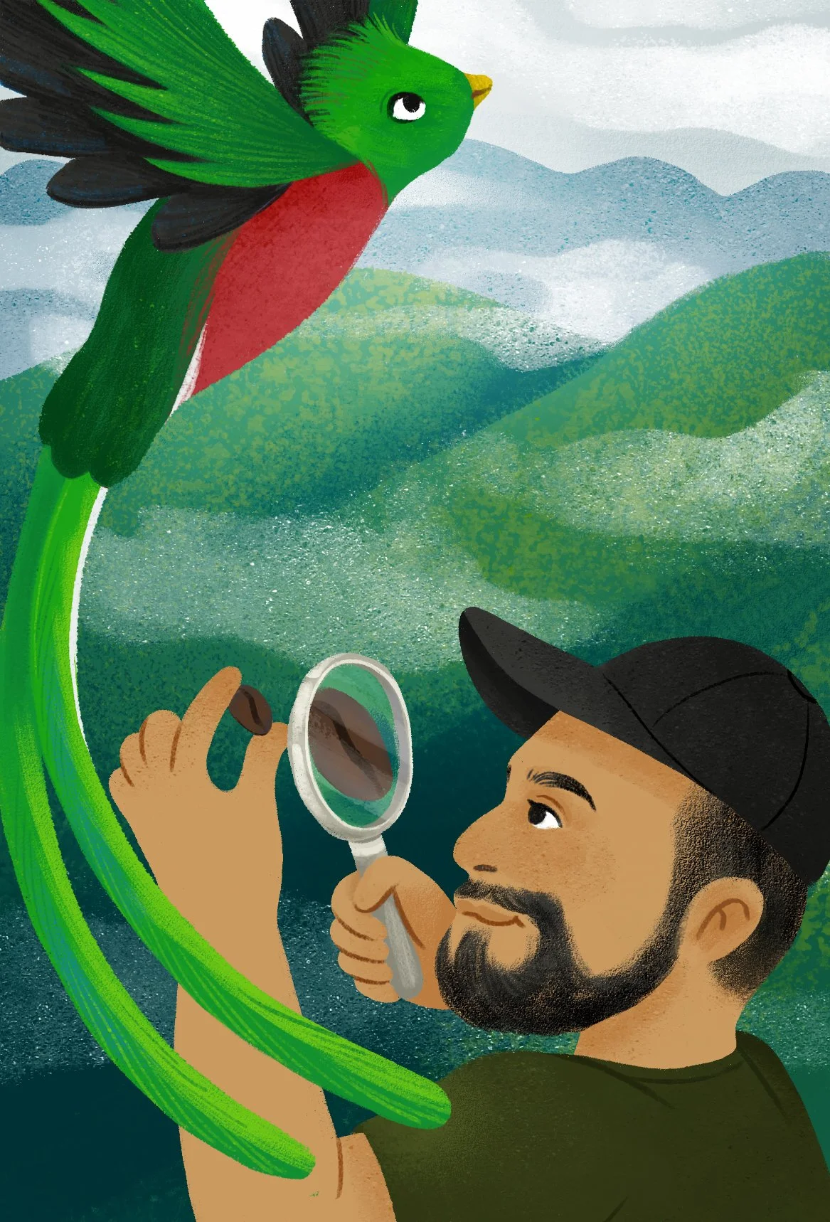 illustrazioni cartoline_Finca Santa Cruz.jpg