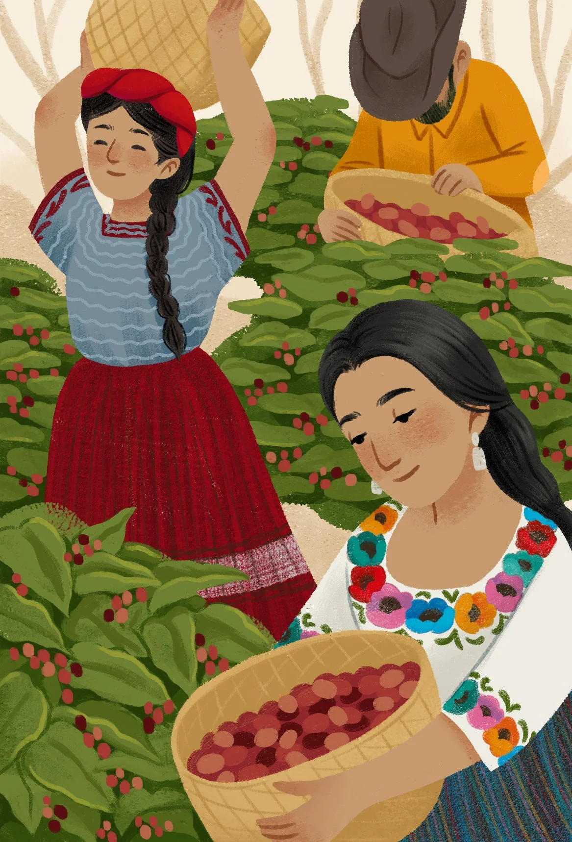 illustrazioni cartoline_Baja Verapaz.jpg