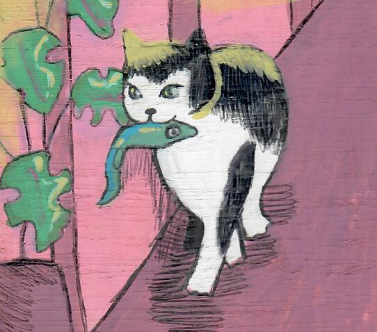 Cat on a walk