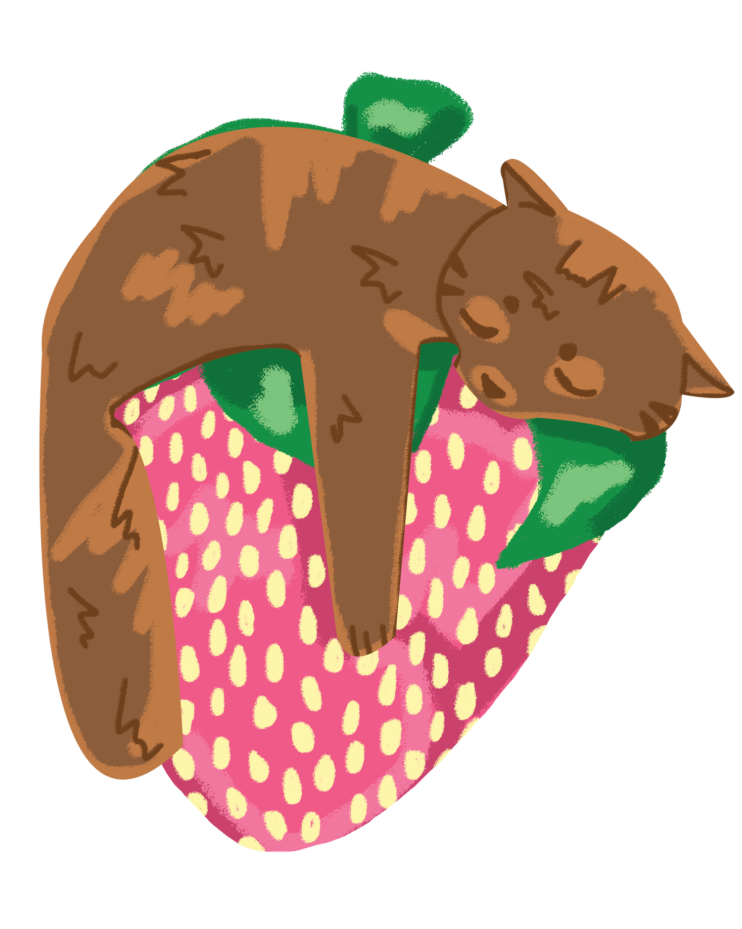 2Strawberrys