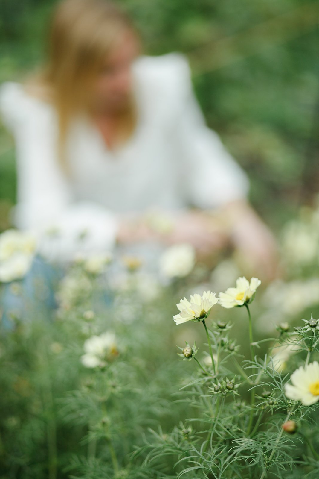 Flower pressing studio