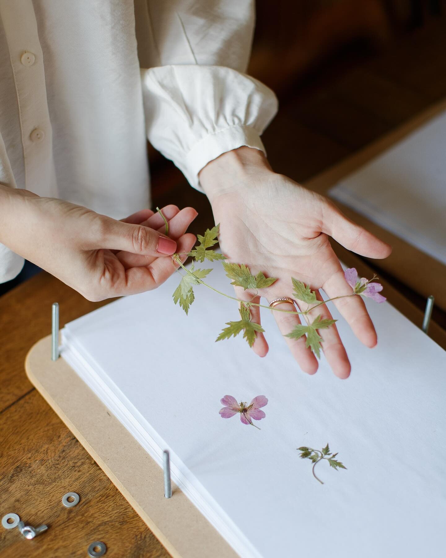 The art of flower pressing 🌷 

I design floral stationery collections quite literally from garden to paper. I pick flowers from my garden and local flower farm, which I then press for a number of weeks to use within the designs of my stationery. The