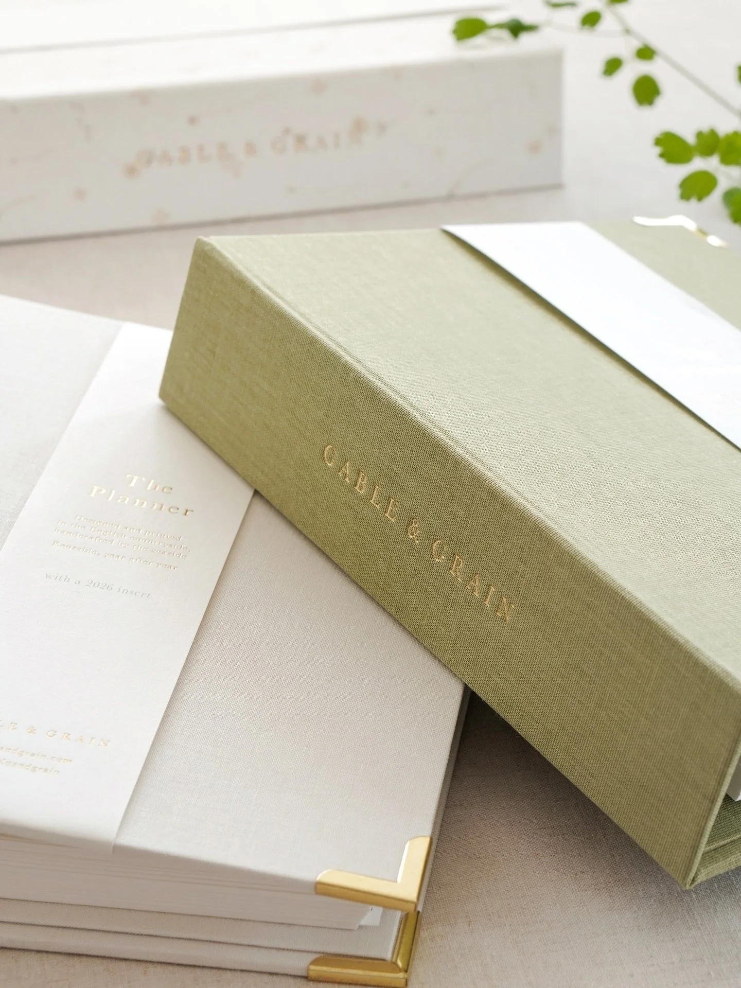 It&rsquo;s 2026 in 3 weeks time! Do you have your diary yet?

My collection of planners are designed to be used year after year, with moveable and replaceable inserts. You can add different kinds of inserts too, such as extra notes pages, areas for s