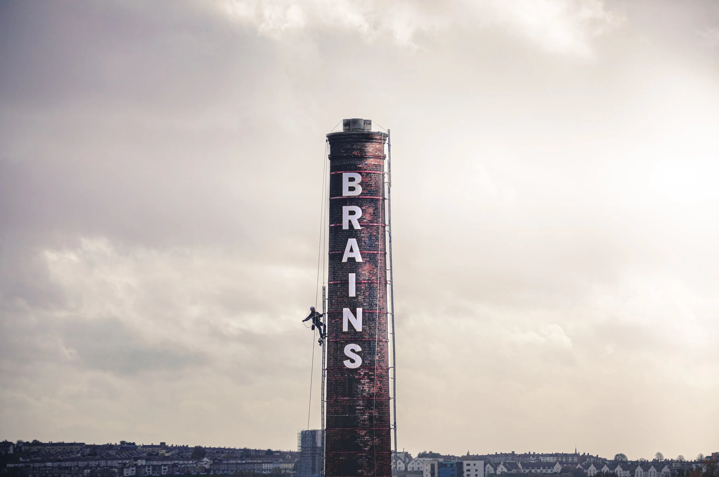 BrainsClimber (2 of 3).jpg