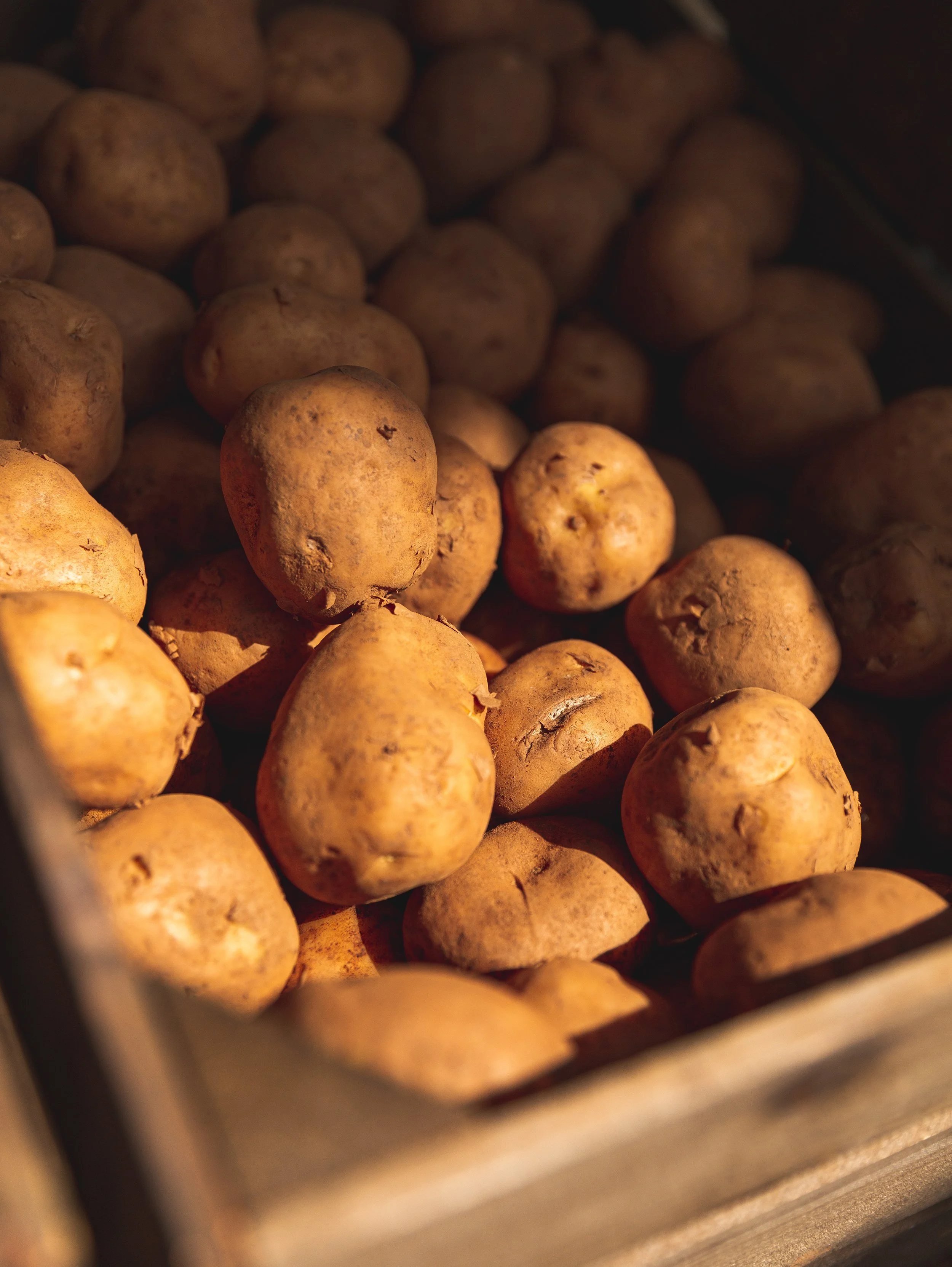 HanleyFarmShop09-20 (21 of 95).jpg