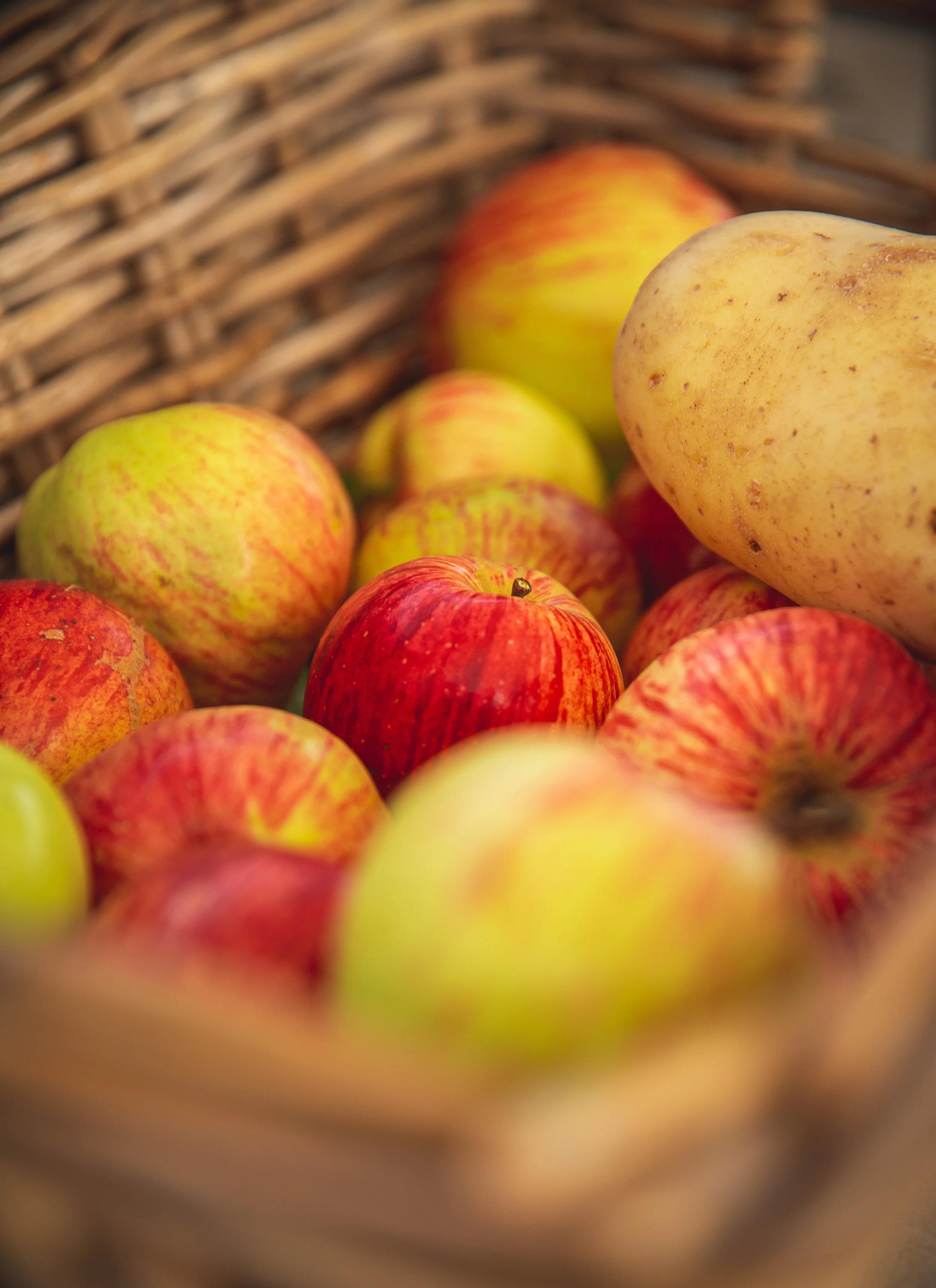 HanleyFarmShop09-20 (4 of 95).jpg