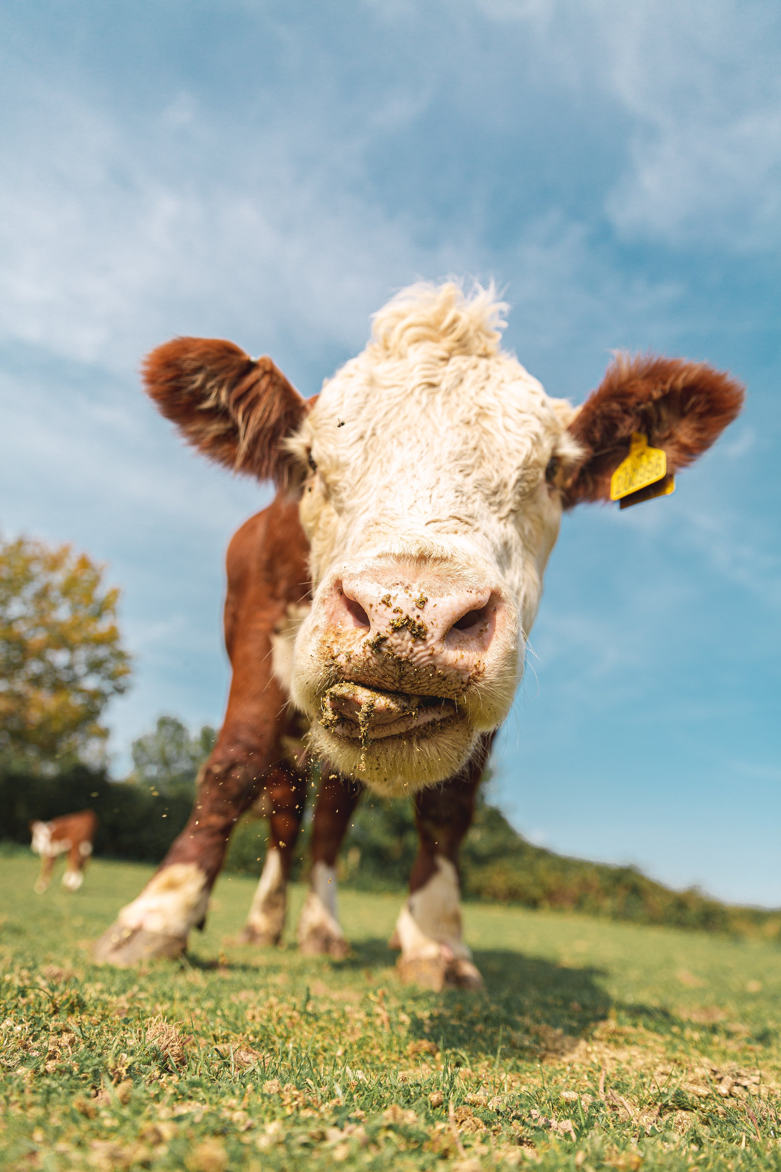 HanleyFarmShop09-20 (18 of 18).jpg