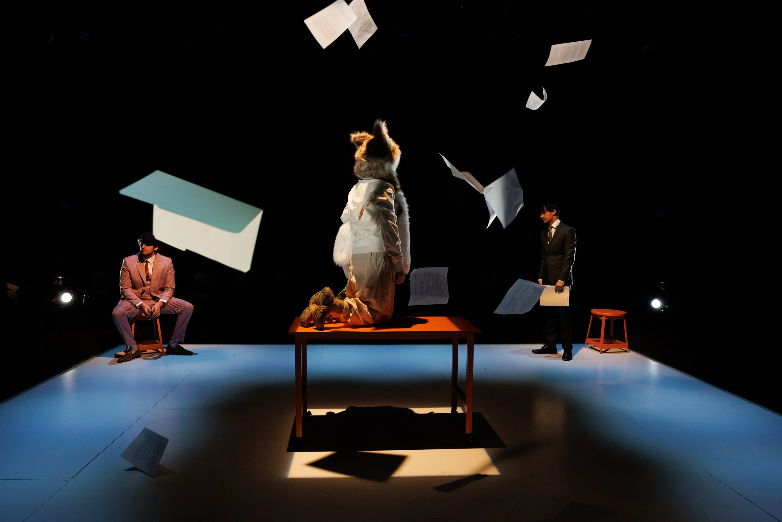 Wolf_Play_Baranova-3429.jpg