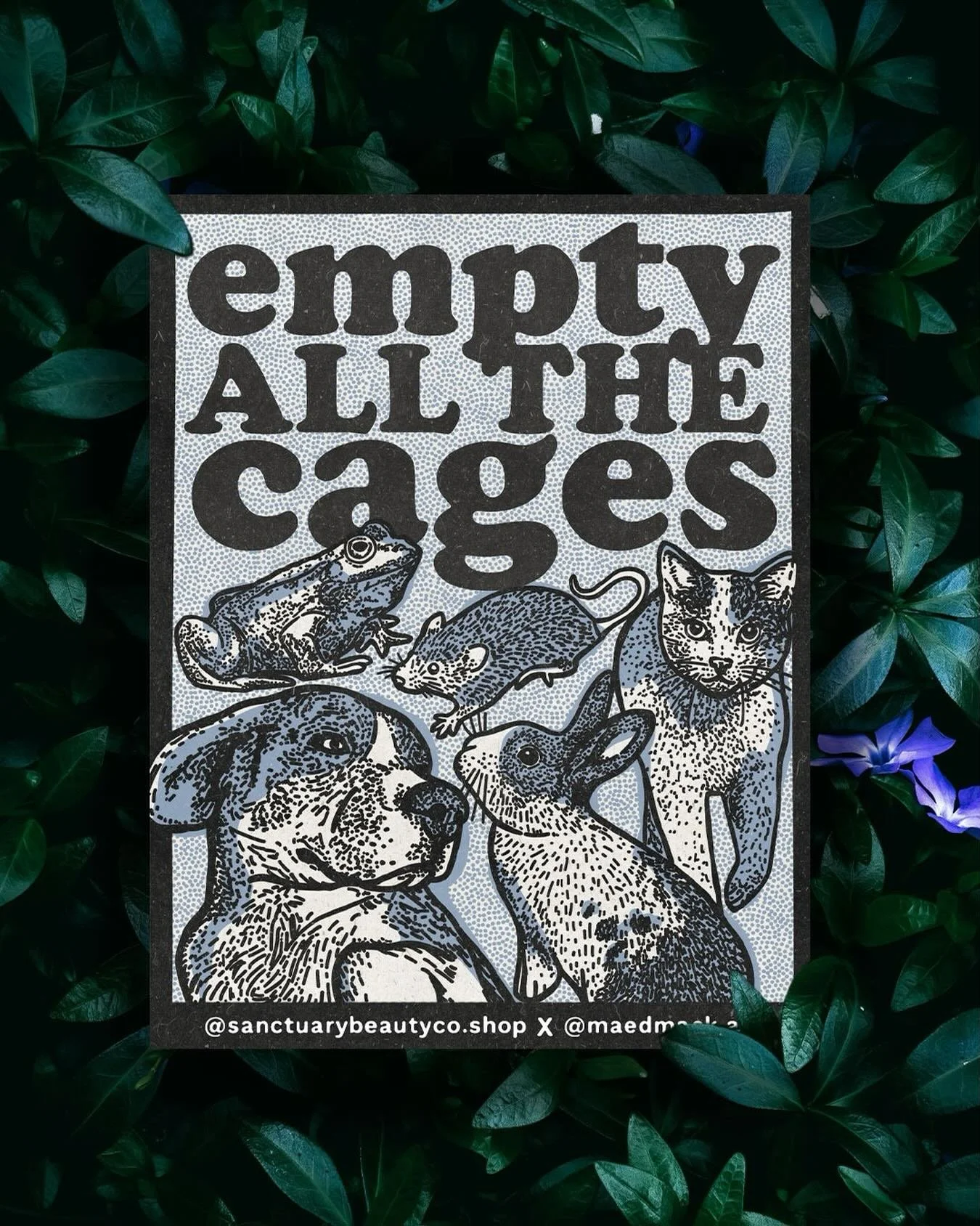 this design was recently launched as a collaboration sticker by @sanctuarybeautyco.shop 🌸

their giveaway still runs until july 4th, so go check them out!

.

#emptyallthecages #vegansticker #veganart #animalliberation #animalrights