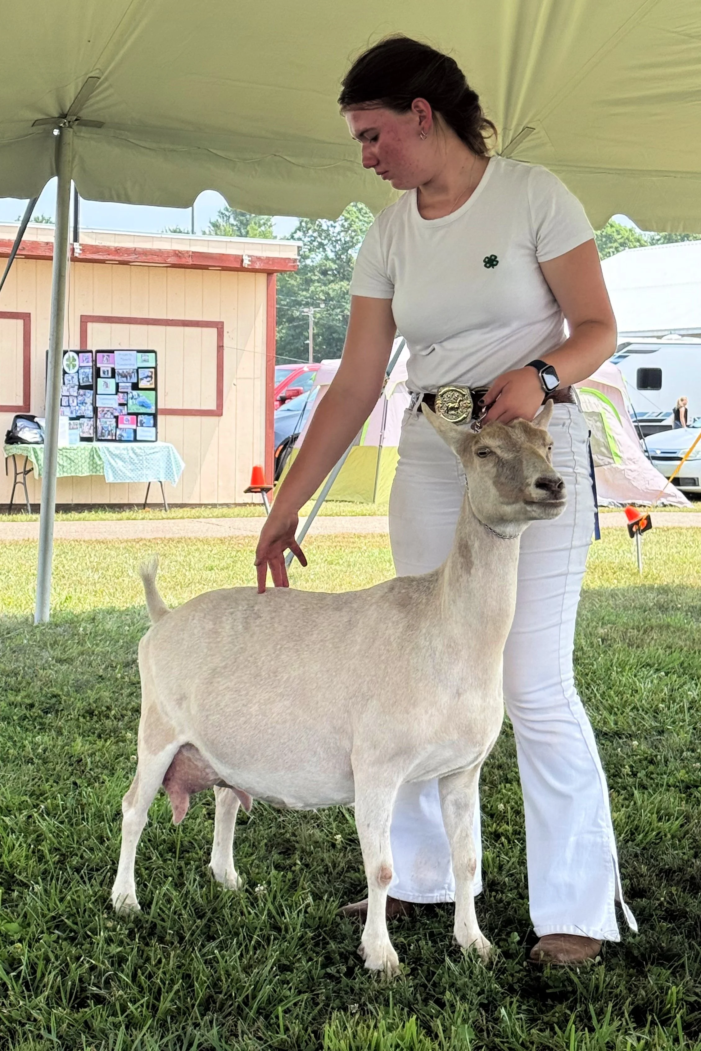 Moon 2025 Worcester County 4-H fair.jpg