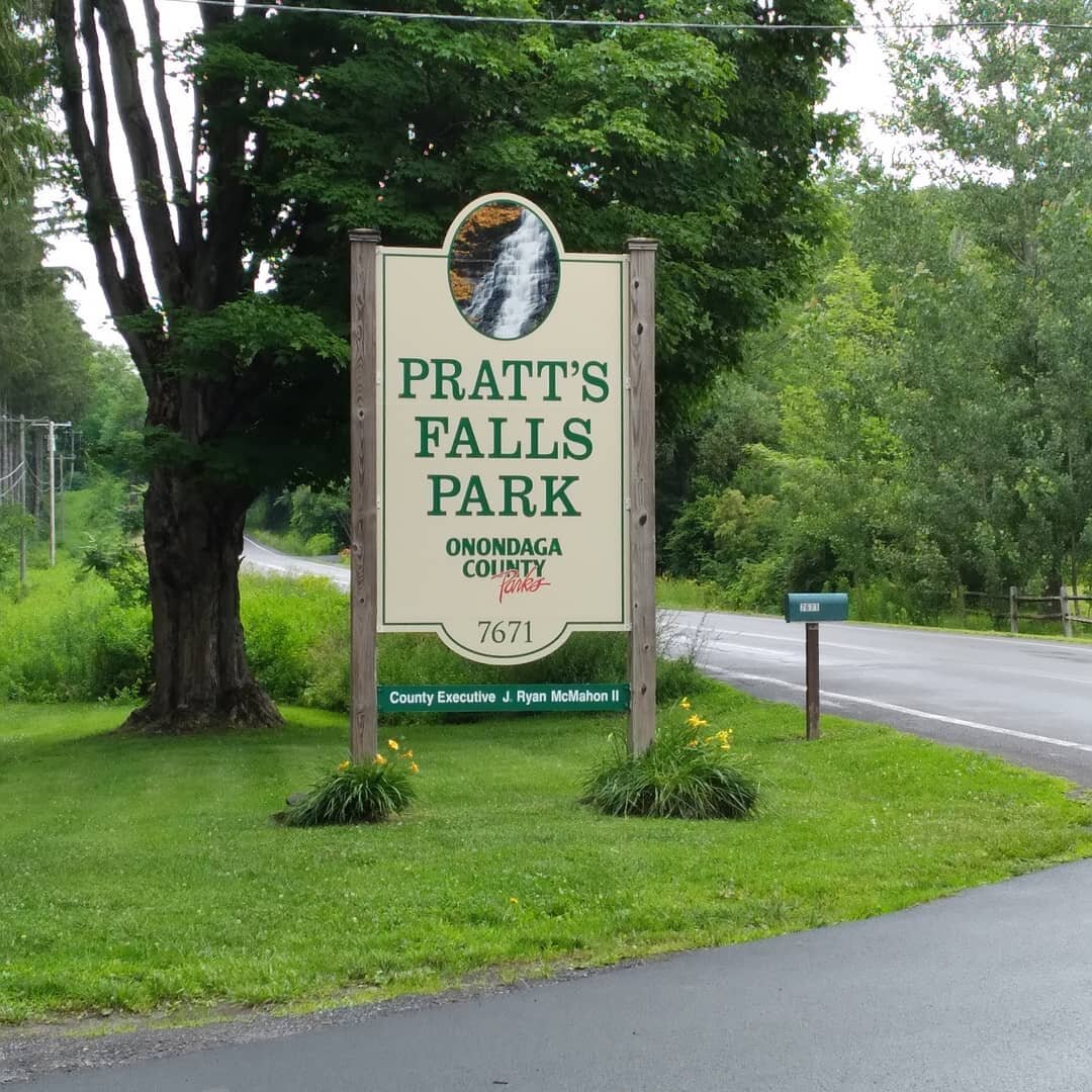 Weekend Walk #16: This weekend I went to Pratt's Falls Park. It's a beautiful park with a lot of places to walk, pavilions, playgrounds,  and gorgeous views. There are many wooded trails,  some are accessible but not all. For example, I could not get