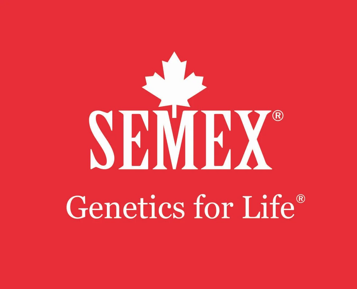 semex.jpg