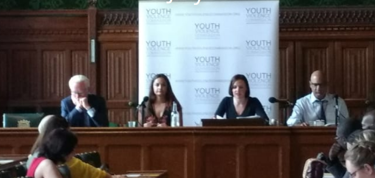 Youth Violence Parliamentary Report – Education reflections