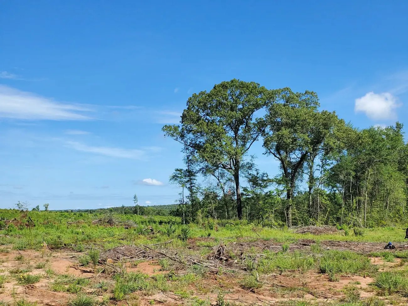 BUSINESS INSIDER | How a Georgia farmer is ensuring a sustainable, safe space for Black residents in a developing 500-acre town
