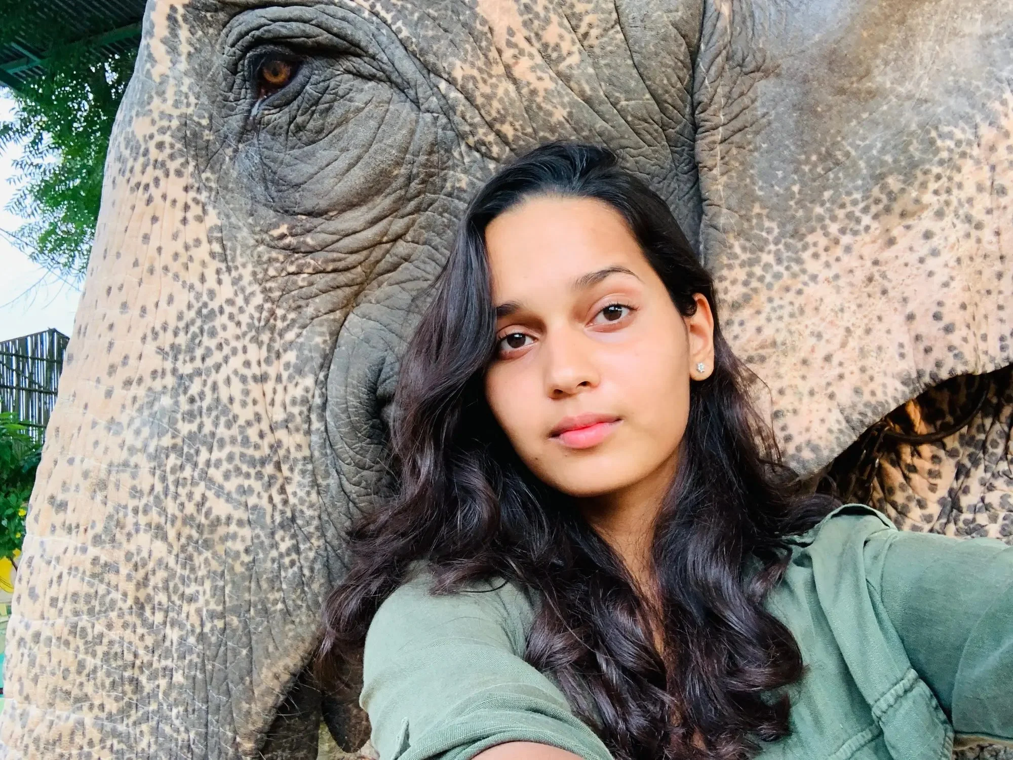BUSINESS INSIDER | Wildlife filmmaker Malaika Vaz says protecting wild habitats is imperative in preventing global health crises