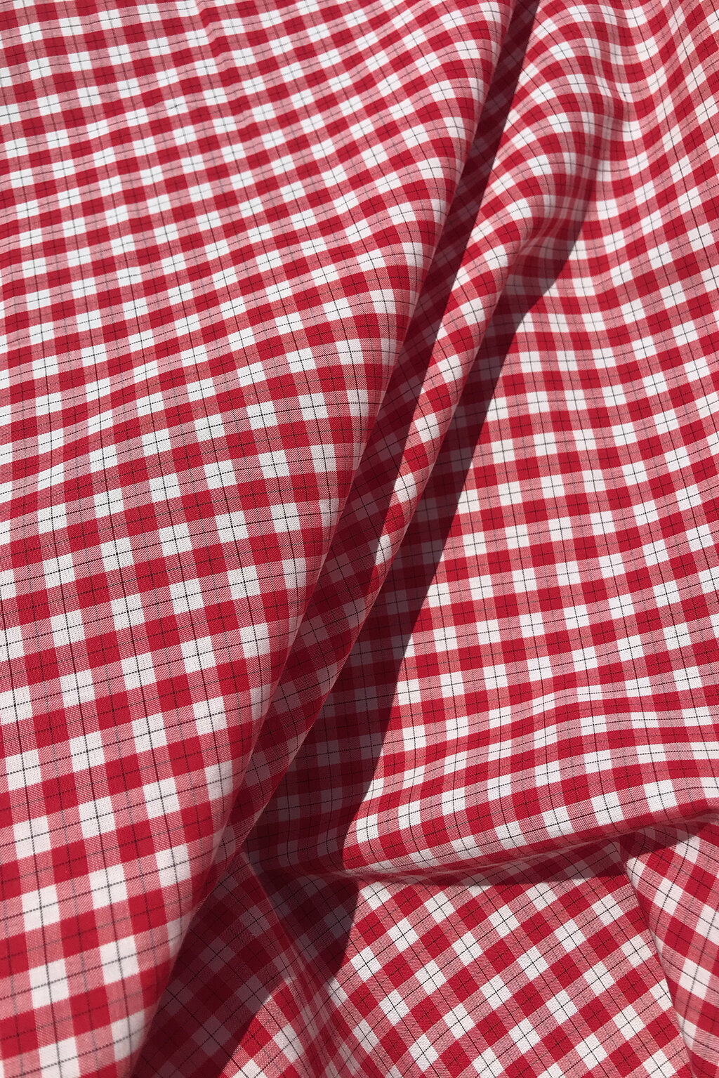 cotton gingham in red3.jpg