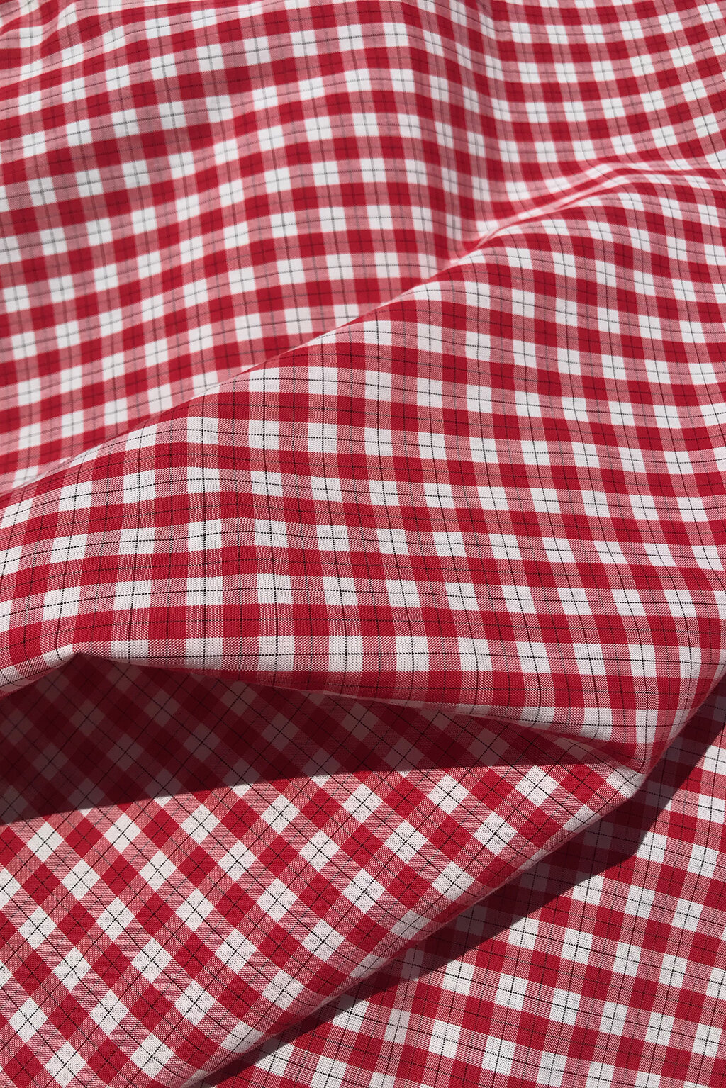 cotton gingham in red.jpg