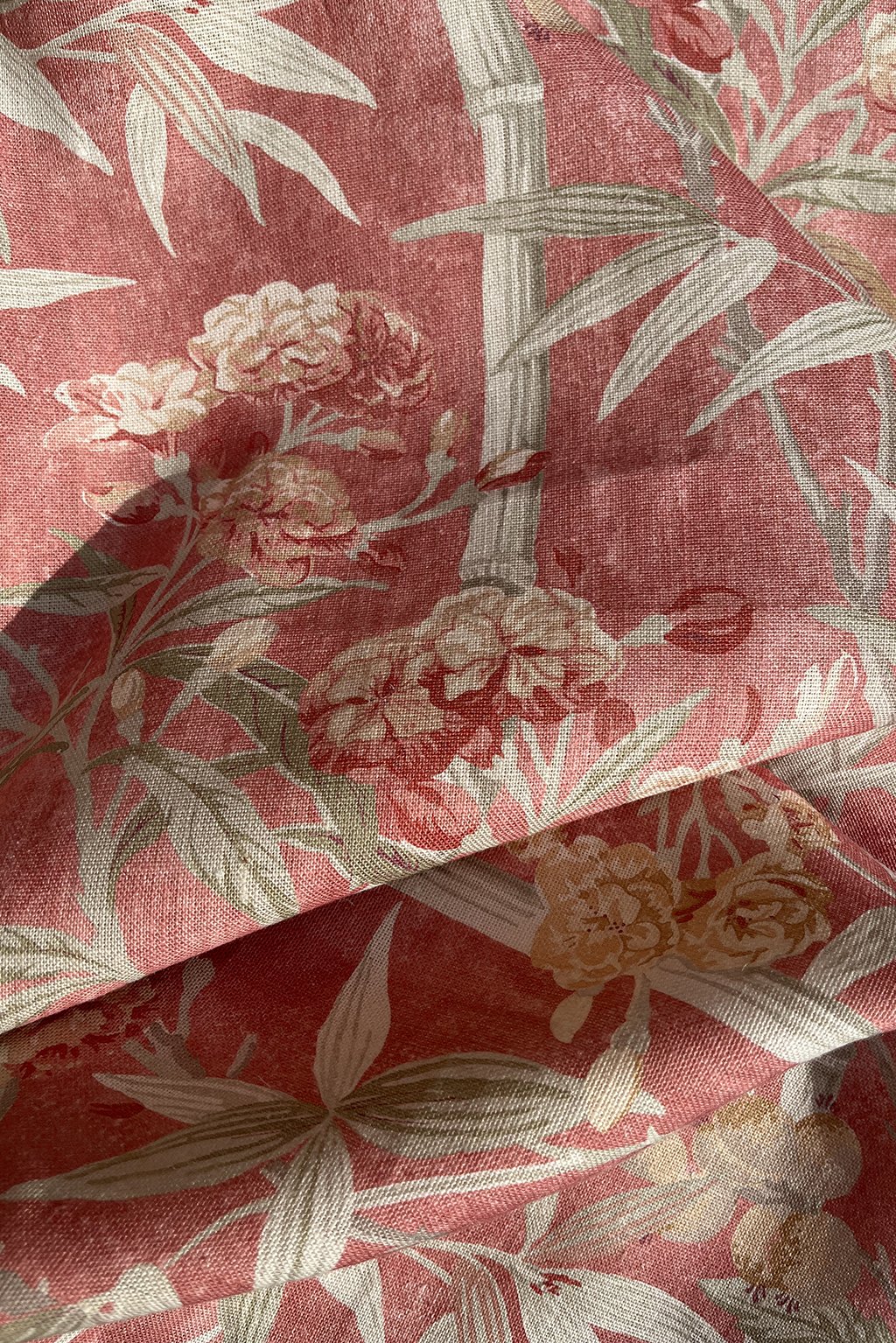 oleander18.jpg