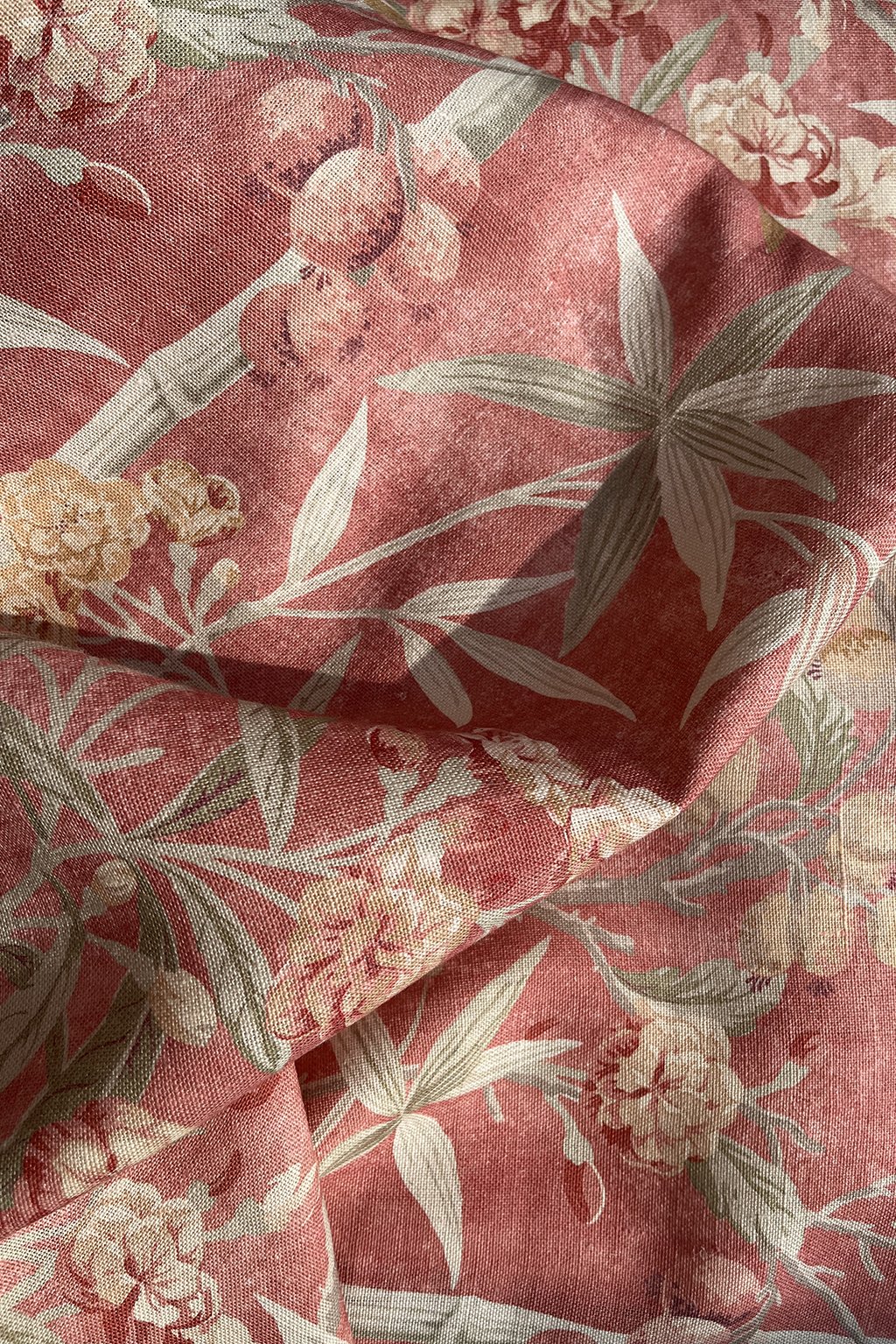 oleander15.jpg