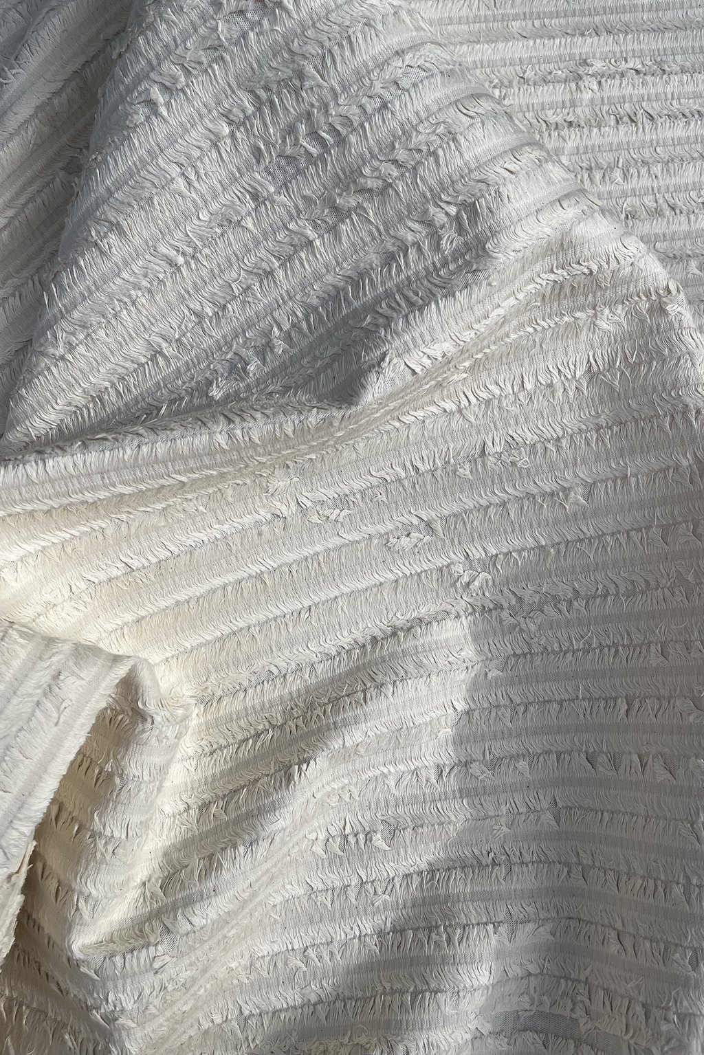 canvas with fringe2.jpg