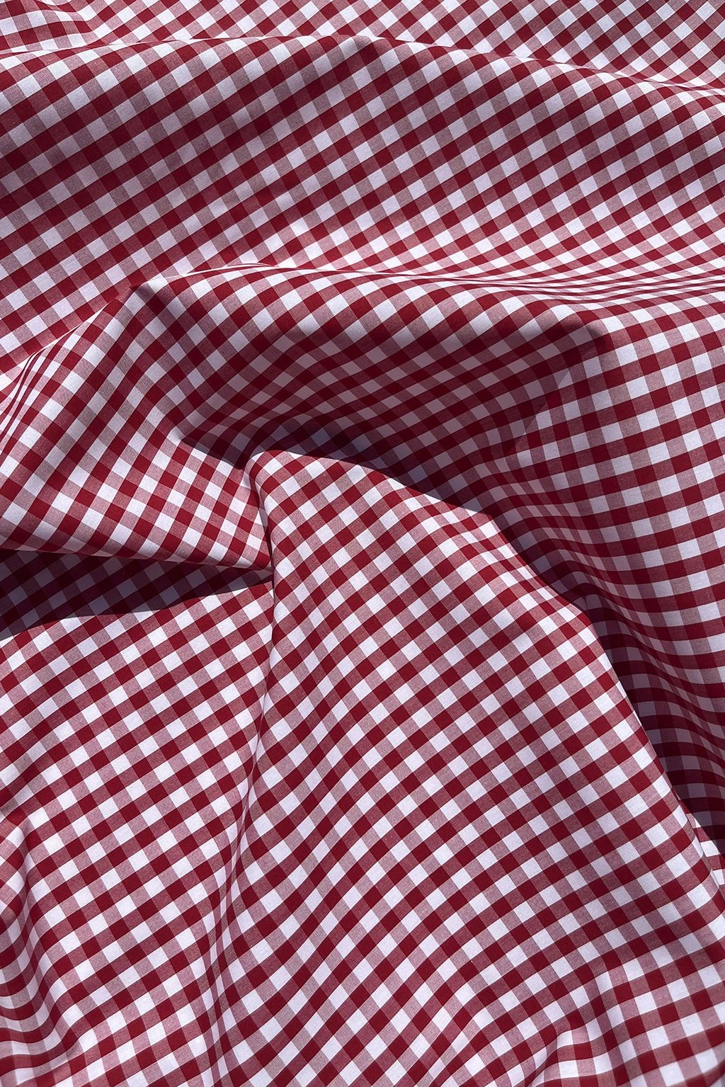 Italian Cotton gingham in red and white16.jpg