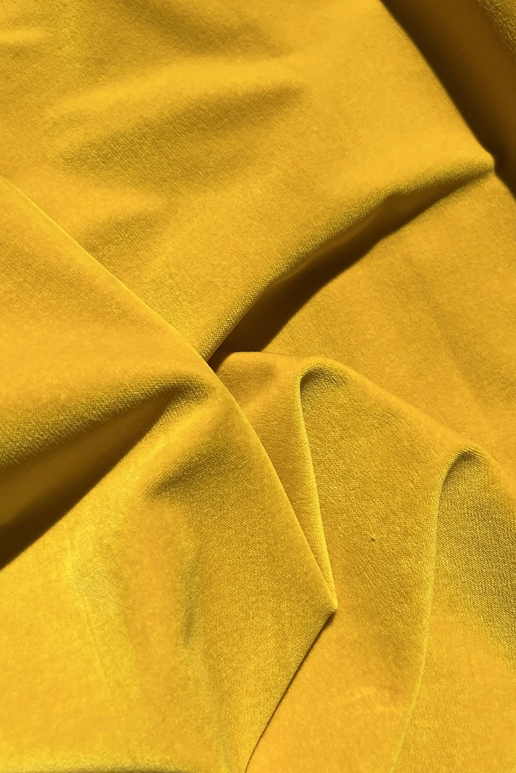 Italian cotton velvet in mustard yellow e.jpg