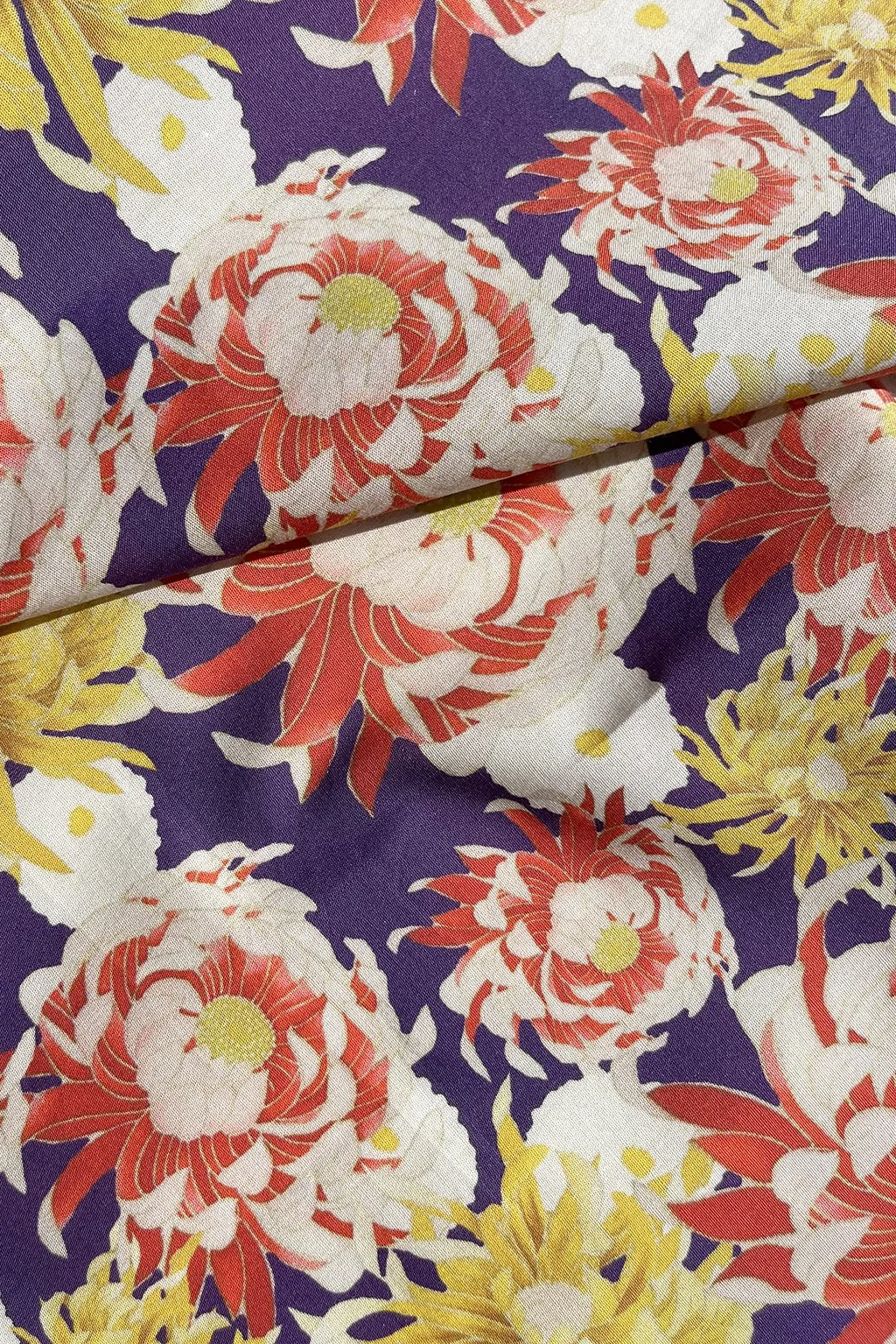 Chrysantemum remnant2.jpg