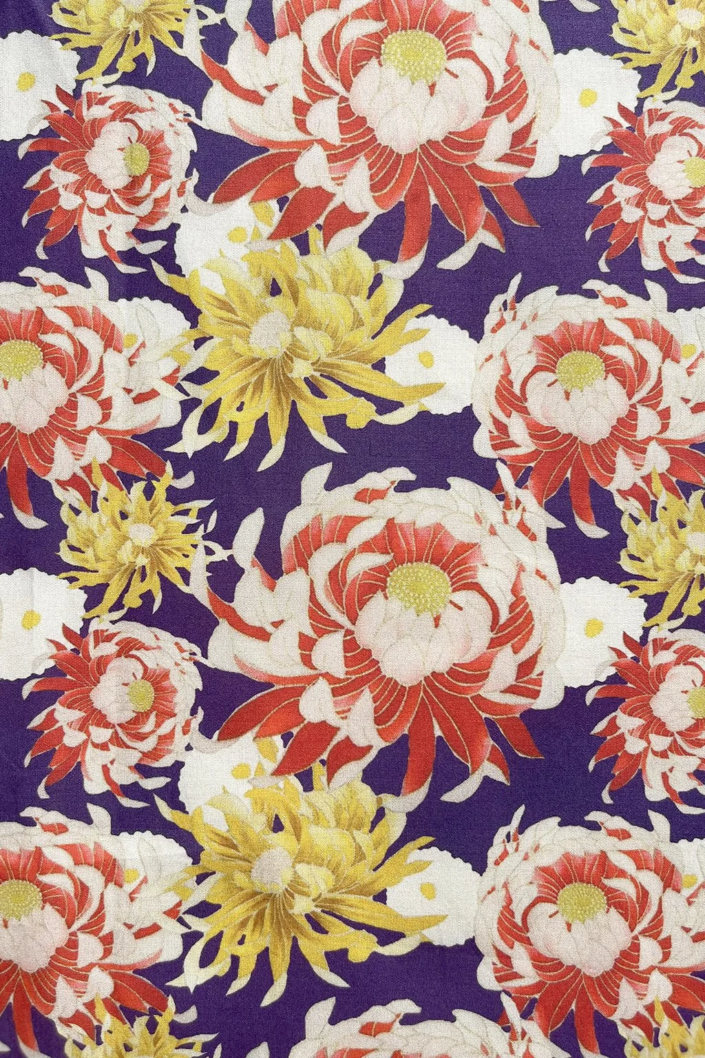 Chrysantemum remnant b.jpg